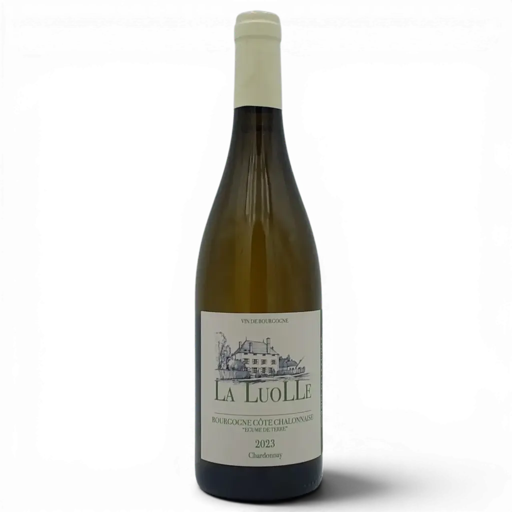 Bourgogne blanc Côte Chalonnaise "Ecume de Terre"   2023