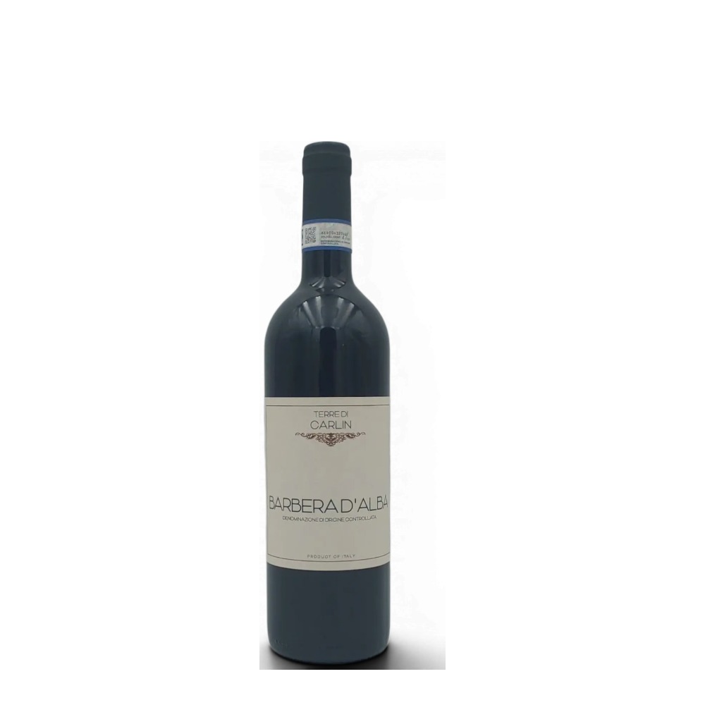 Barbera d'Alba Superiore 2024