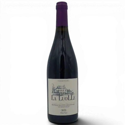 [J] Bourgogne Rouge Côte Chalonnaise "Oiseaux Rares" 2022 